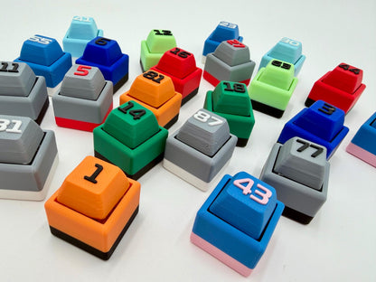 2026 F1 Driver Fidget Clicker Keychain | Racing Gift