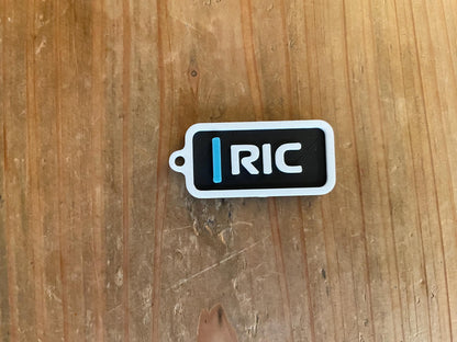 Daniel Ricciardo #3 Driver Keychain | F1 Racing Gift