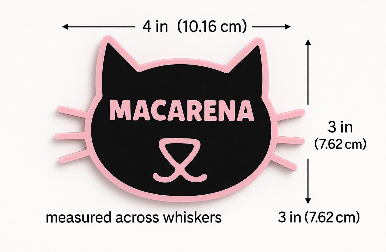 Custom Pet Name Magnet: 3D Printed Cat Fridge Decor