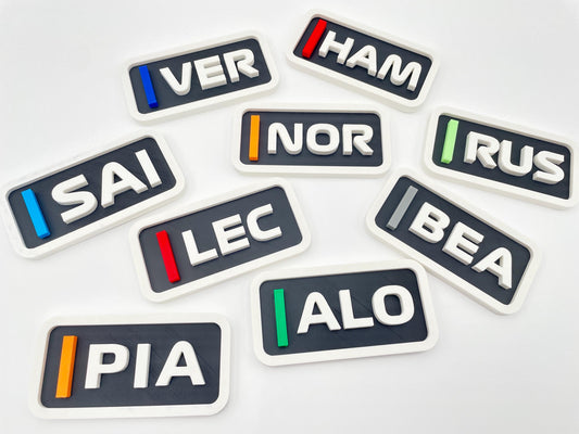 F1 Driver Fridge Magnet, Personalized Racing Gift