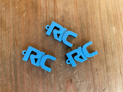 Daniel Ricciardo #3 Driver Keychain | F1 Racing Gift