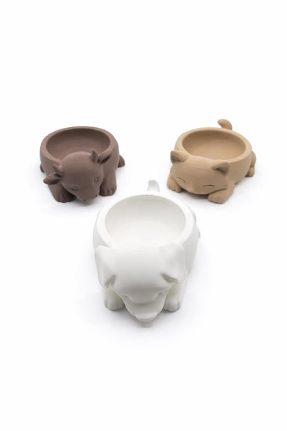 Duck Soap Dish with Drain | Bathroom & Kitchen Organizer
