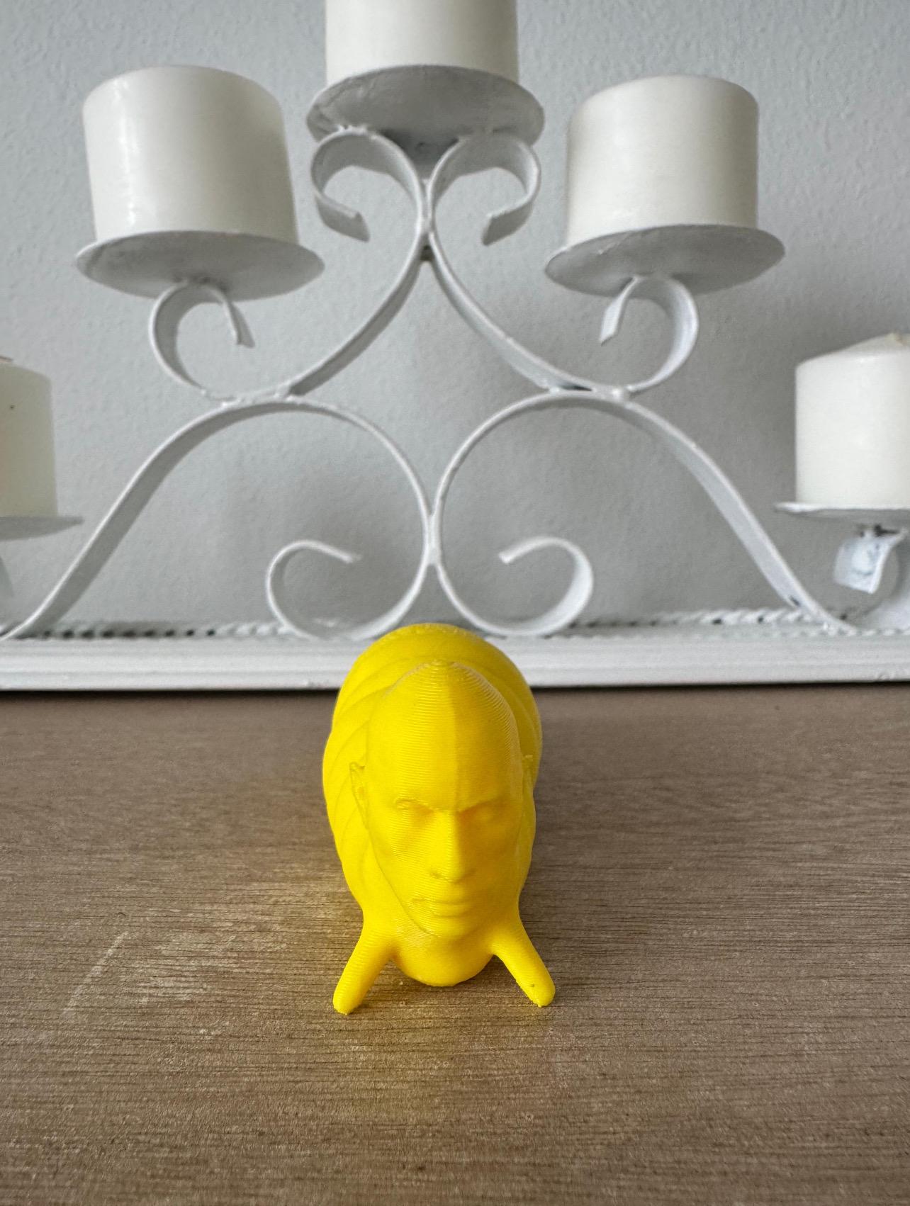The Rock Slug Fidget Toy – Unique 3D Printed Desk Companion – Fun Stress Relief