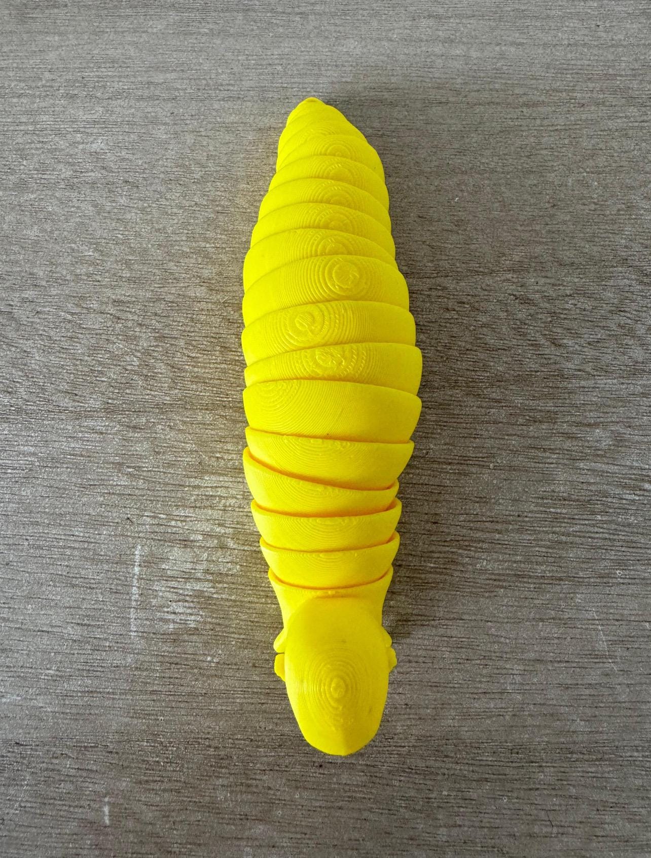 The Rock Slug Fidget Toy – Unique 3D Printed Desk Companion – Fun Stress Relief